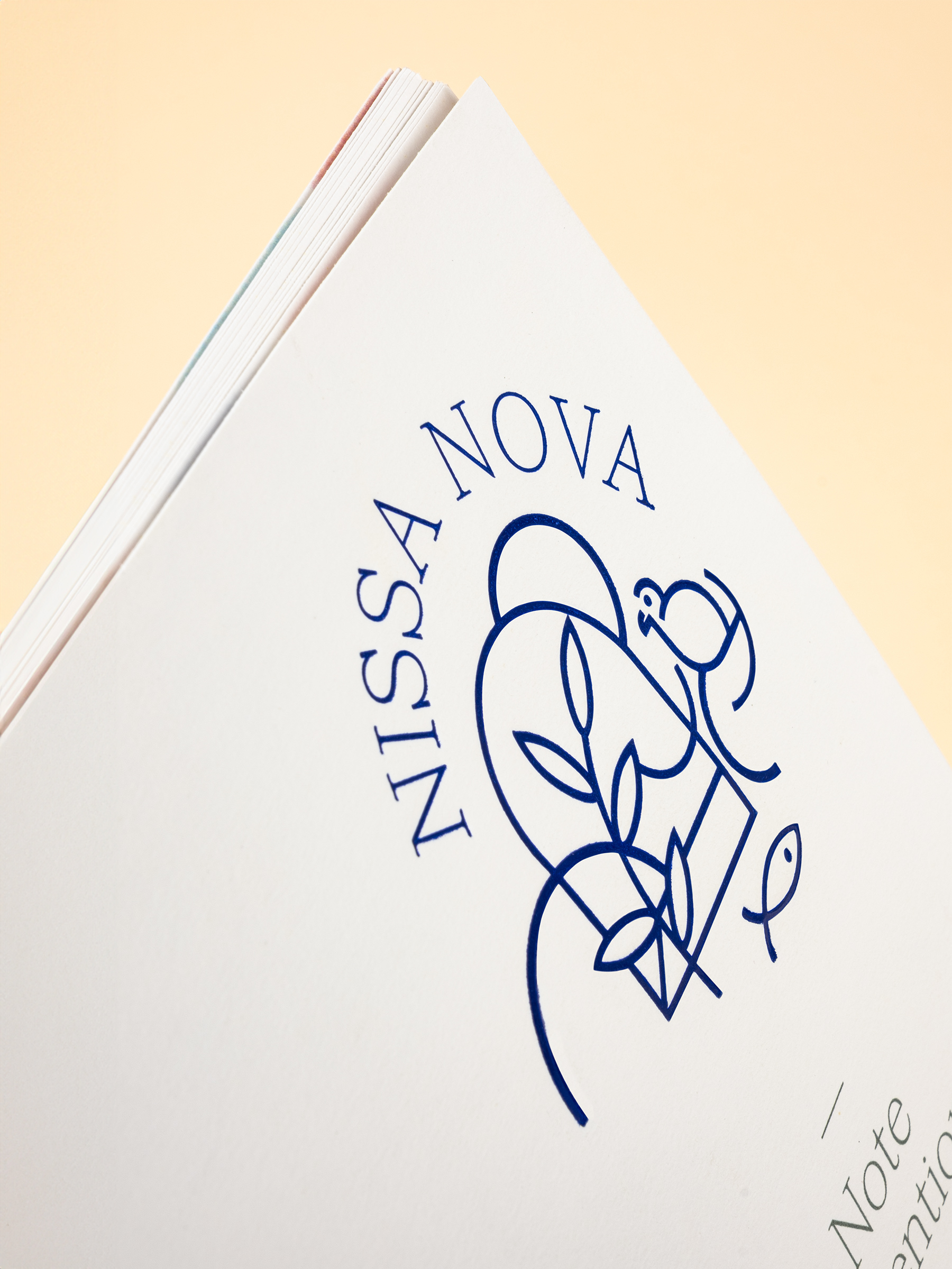 Nissa Nova—Nice GR20 design graphique signaletique paris branding graphic fashion food drinks culture luxury architecture