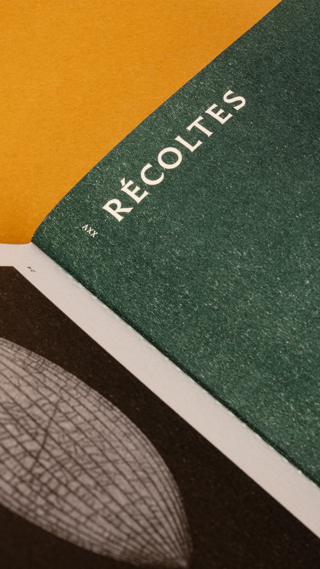 Harry Willer, 26 projections GR20 design graphique signaletique paris branding graphic fashion food drinks culture luxury architecture