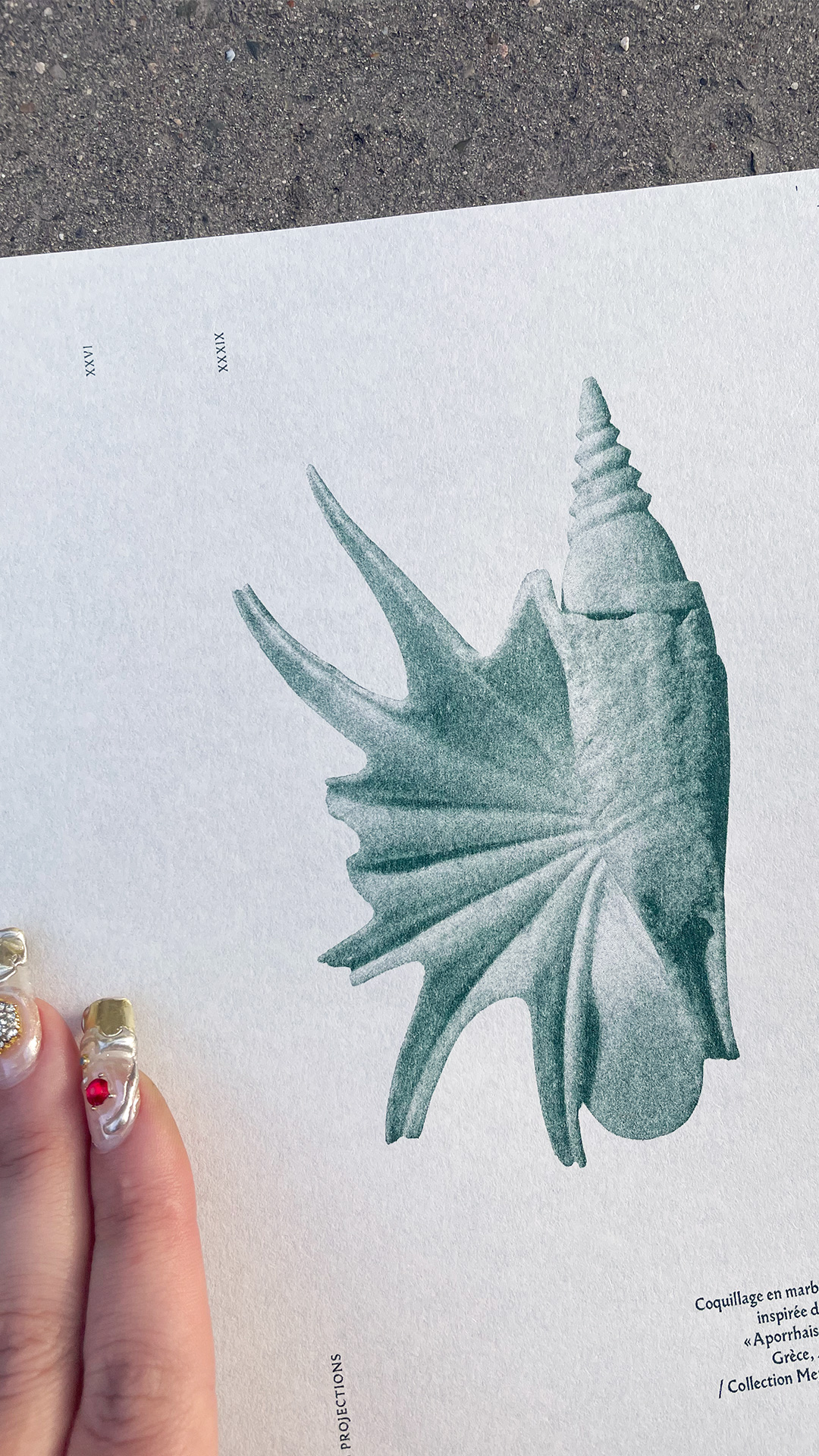 Harry Willer, 26 projections GR20 design graphique signaletique paris branding graphic fashion food drinks culture luxury architecture