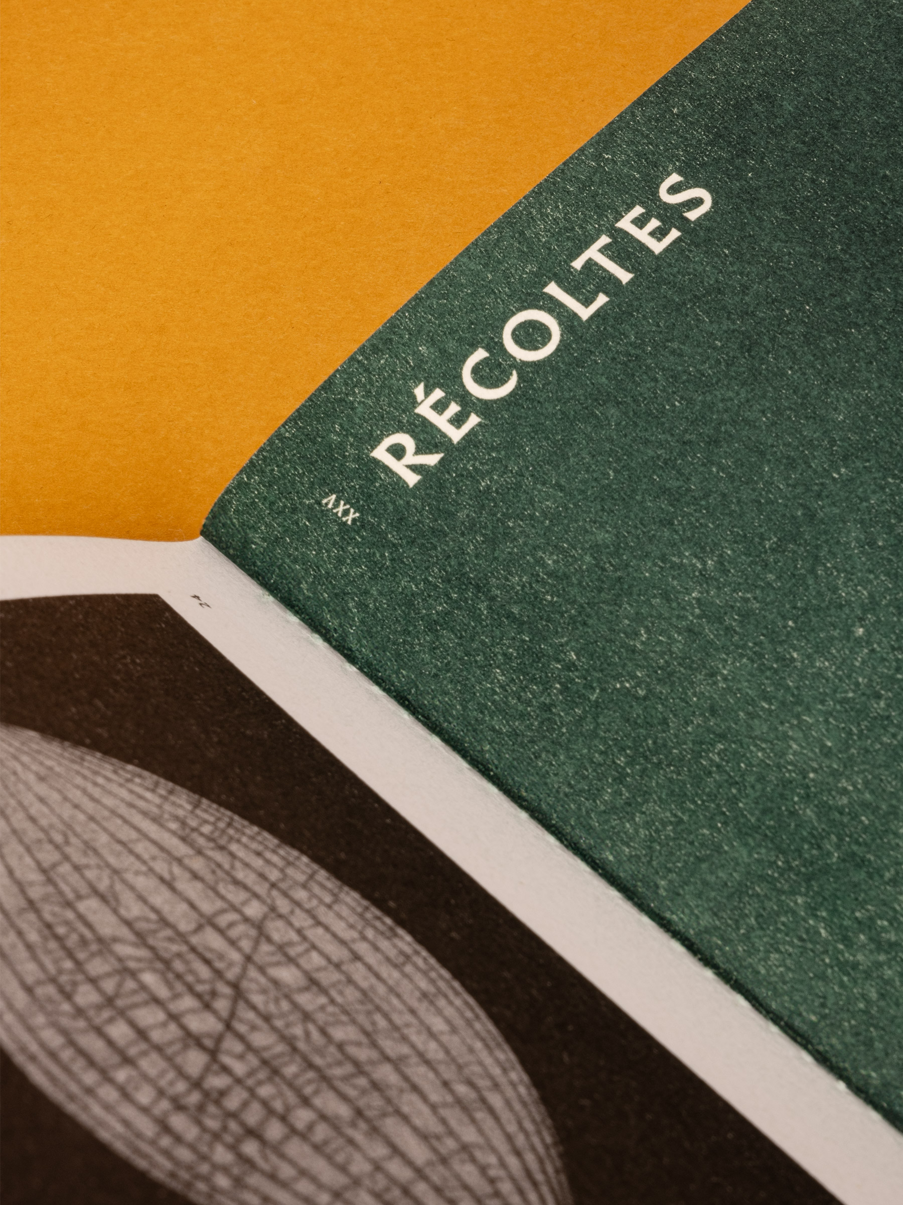 Harry Willer, 26 projections GR20 design graphique signaletique paris branding graphic fashion food drinks culture luxury architecture