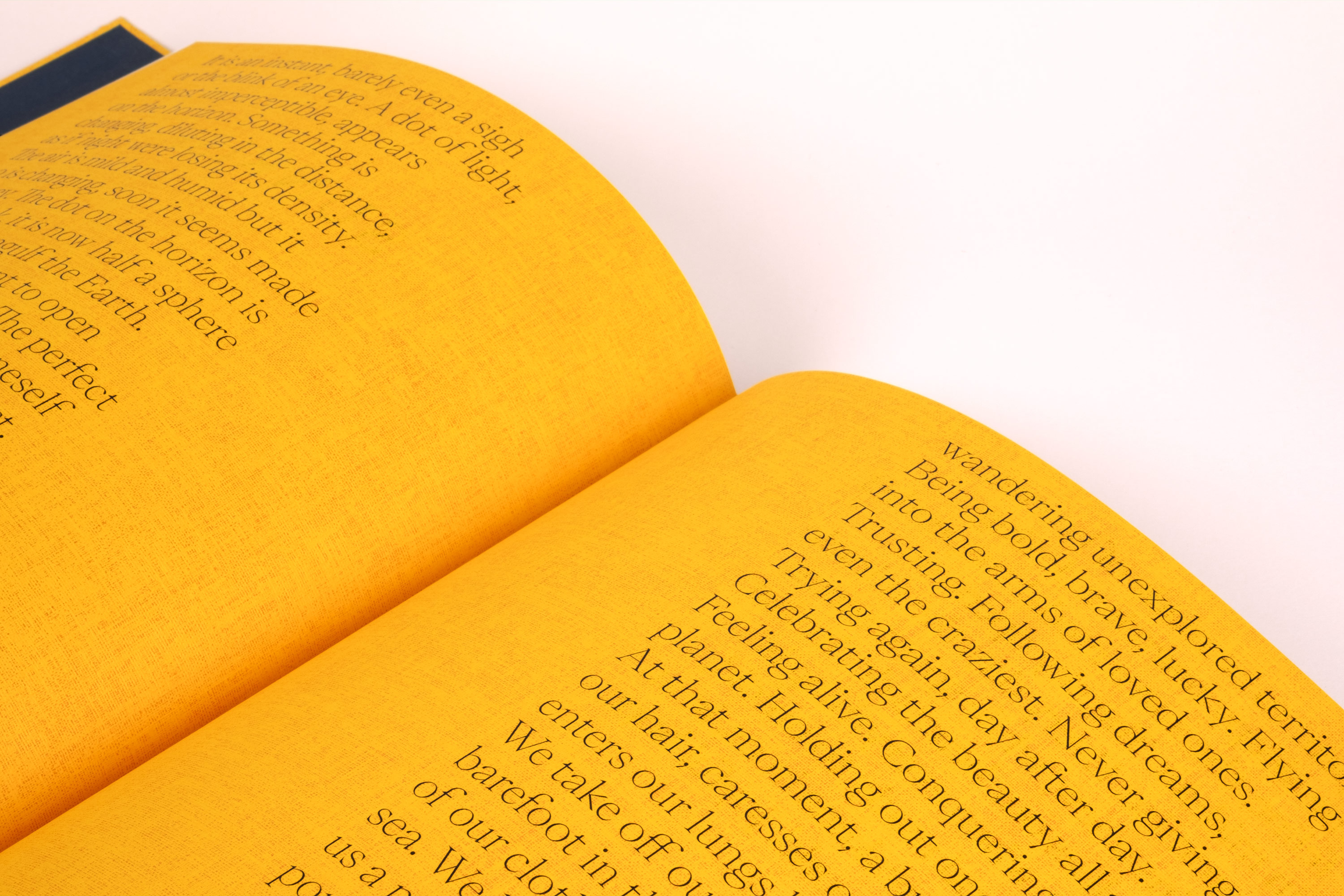 Veuve Cliquot, Solaire Culture —Catalog GR20 design graphique signaletique paris branding graphic fashion food drinks culture luxury architecture