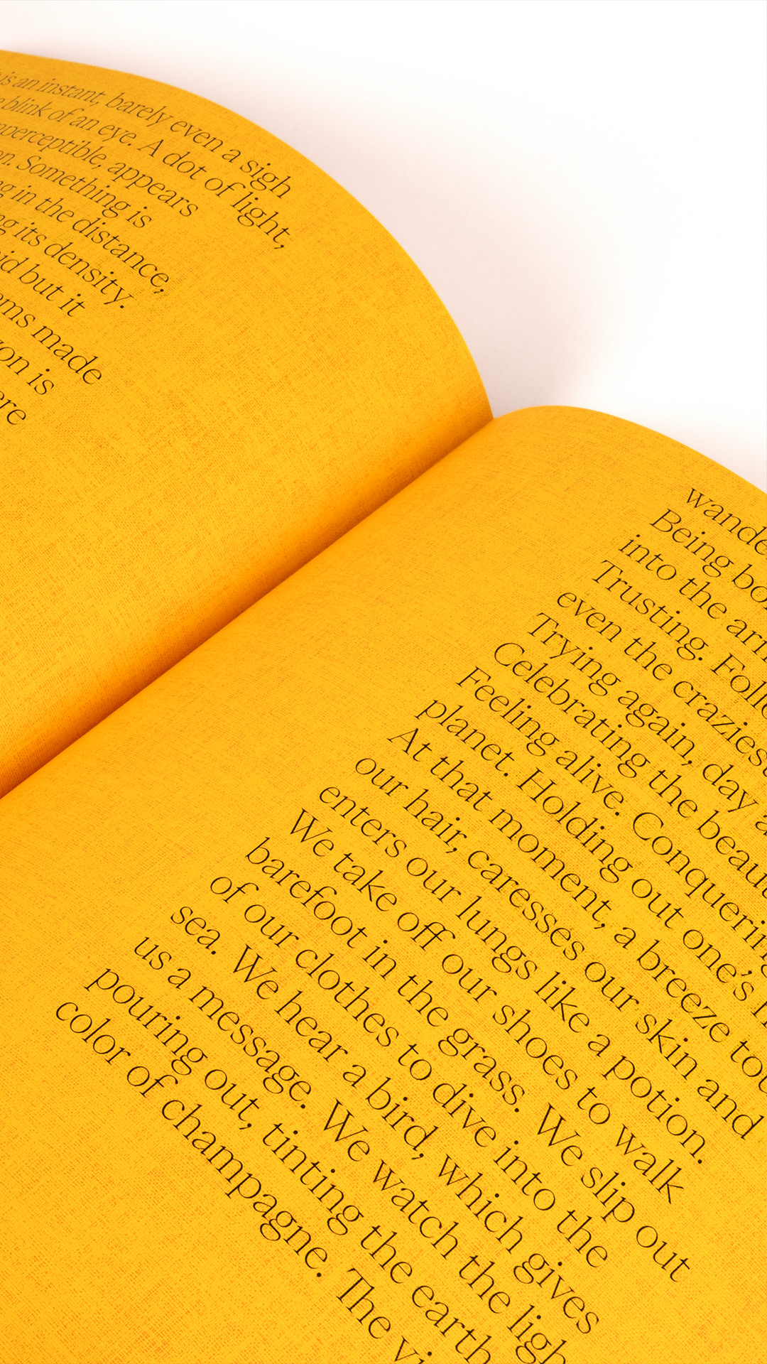 Veuve Cliquot, Solaire Culture —Catalog GR20 design graphique signaletique paris branding graphic fashion food drinks culture luxury architecture