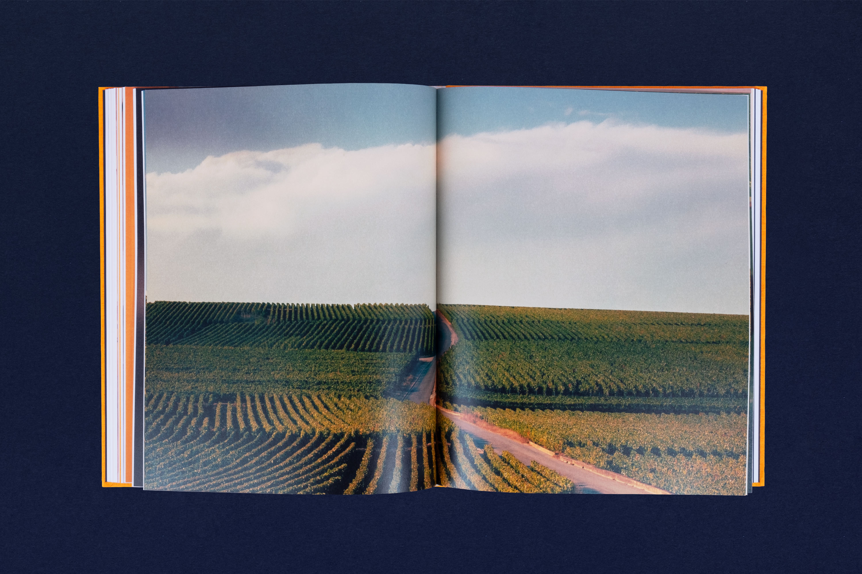 Veuve Cliquot, Solaire Culture —Catalog GR20 design graphique signaletique paris branding graphic fashion food drinks culture luxury architecture