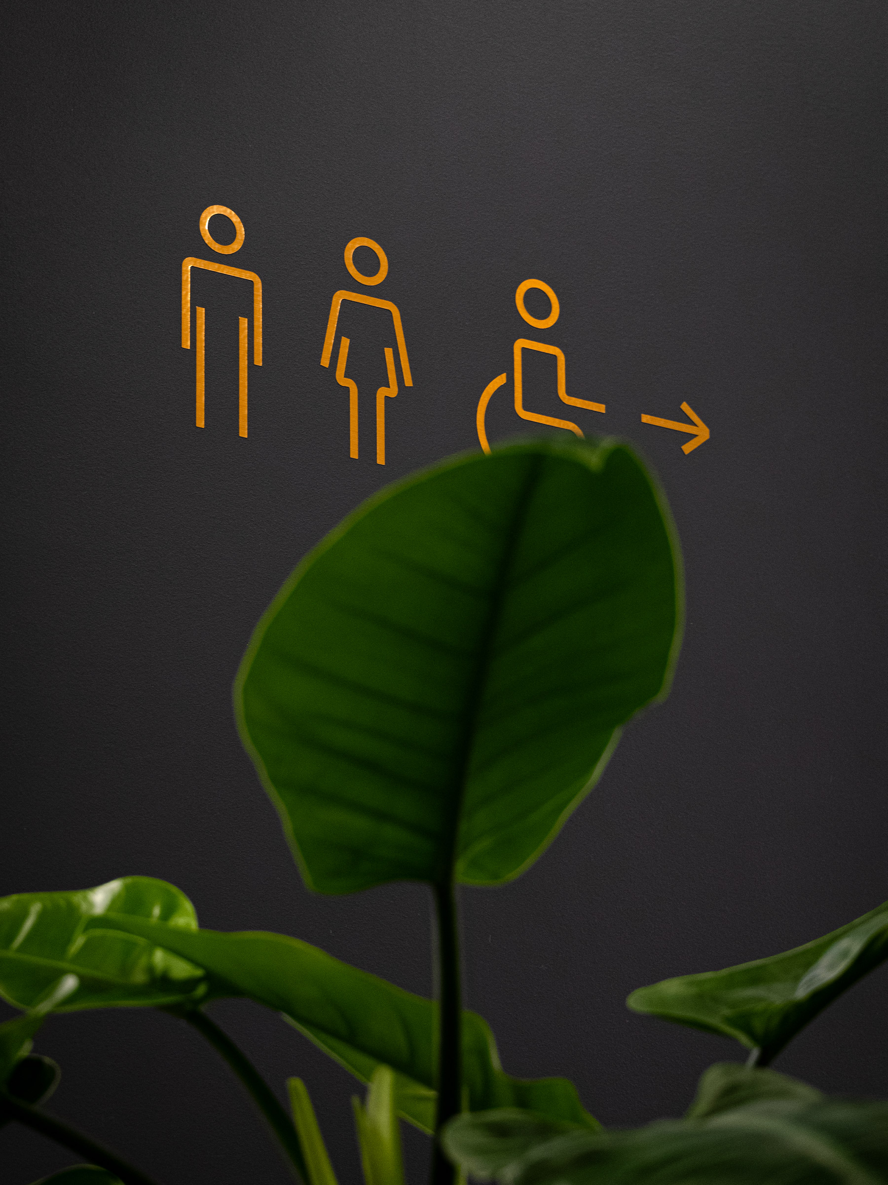 Chambelland GR20 design graphique signaletique paris branding graphic fashion food drinks culture luxury architecture