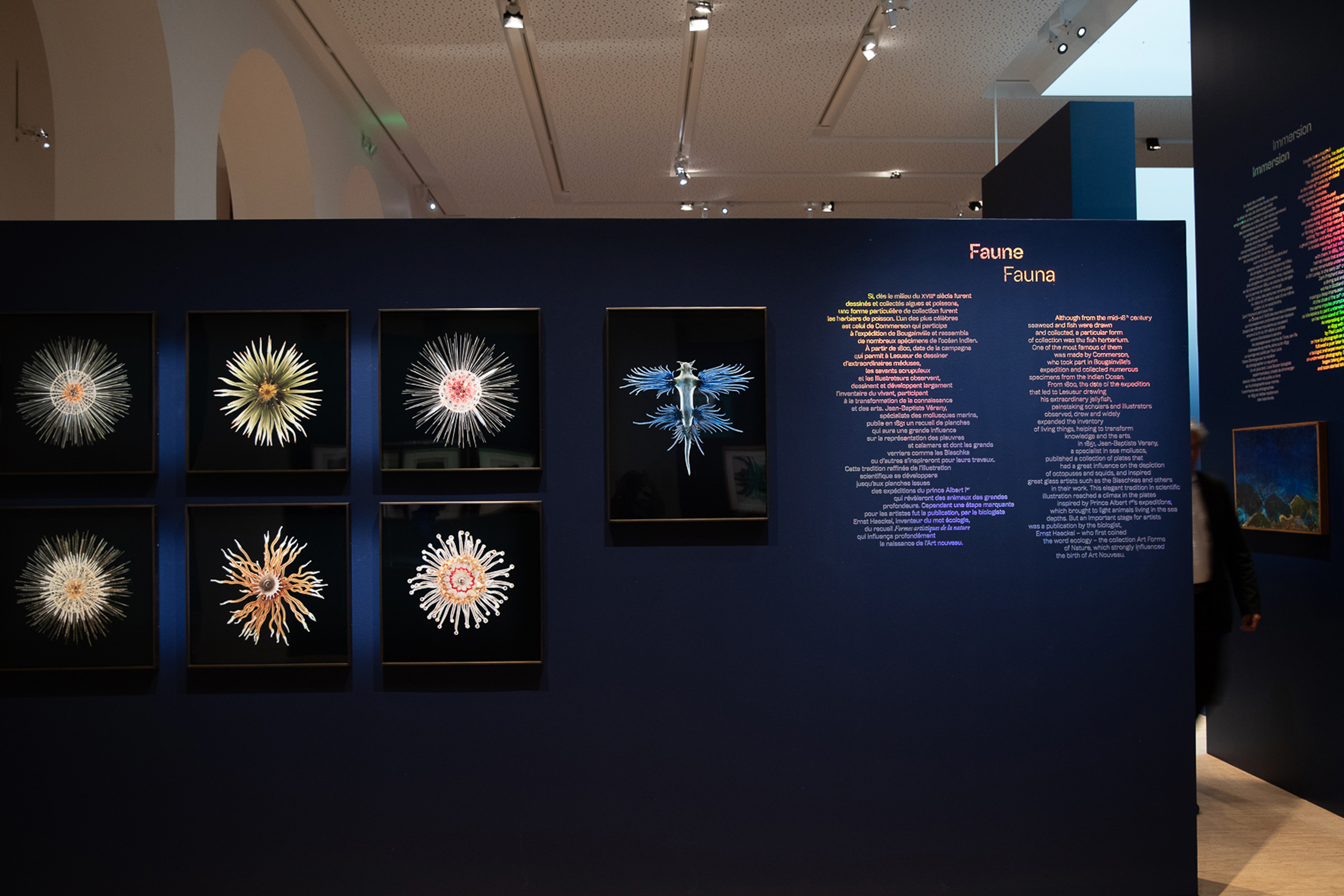 Les Franciscaines, Bleu profond GR20 design graphique signaletique paris branding graphic fashion food drinks culture luxury architecture