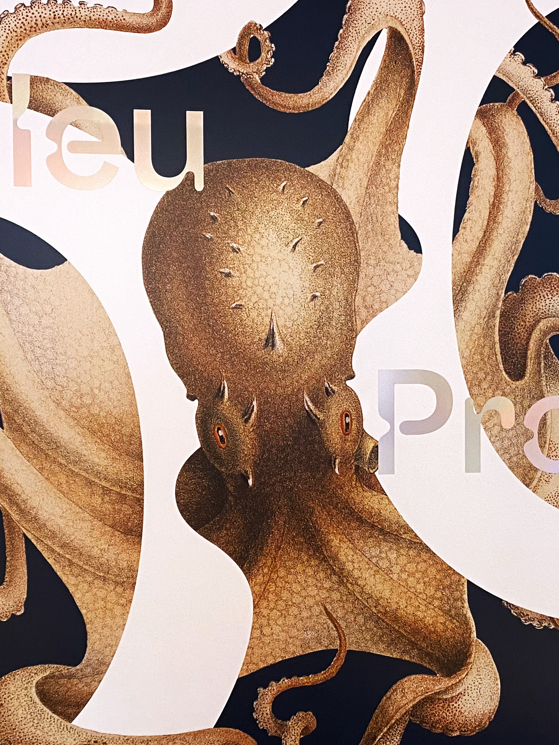 Les Franciscaines, Bleu profond GR20 design graphique signaletique paris branding graphic fashion food drinks culture luxury architecture