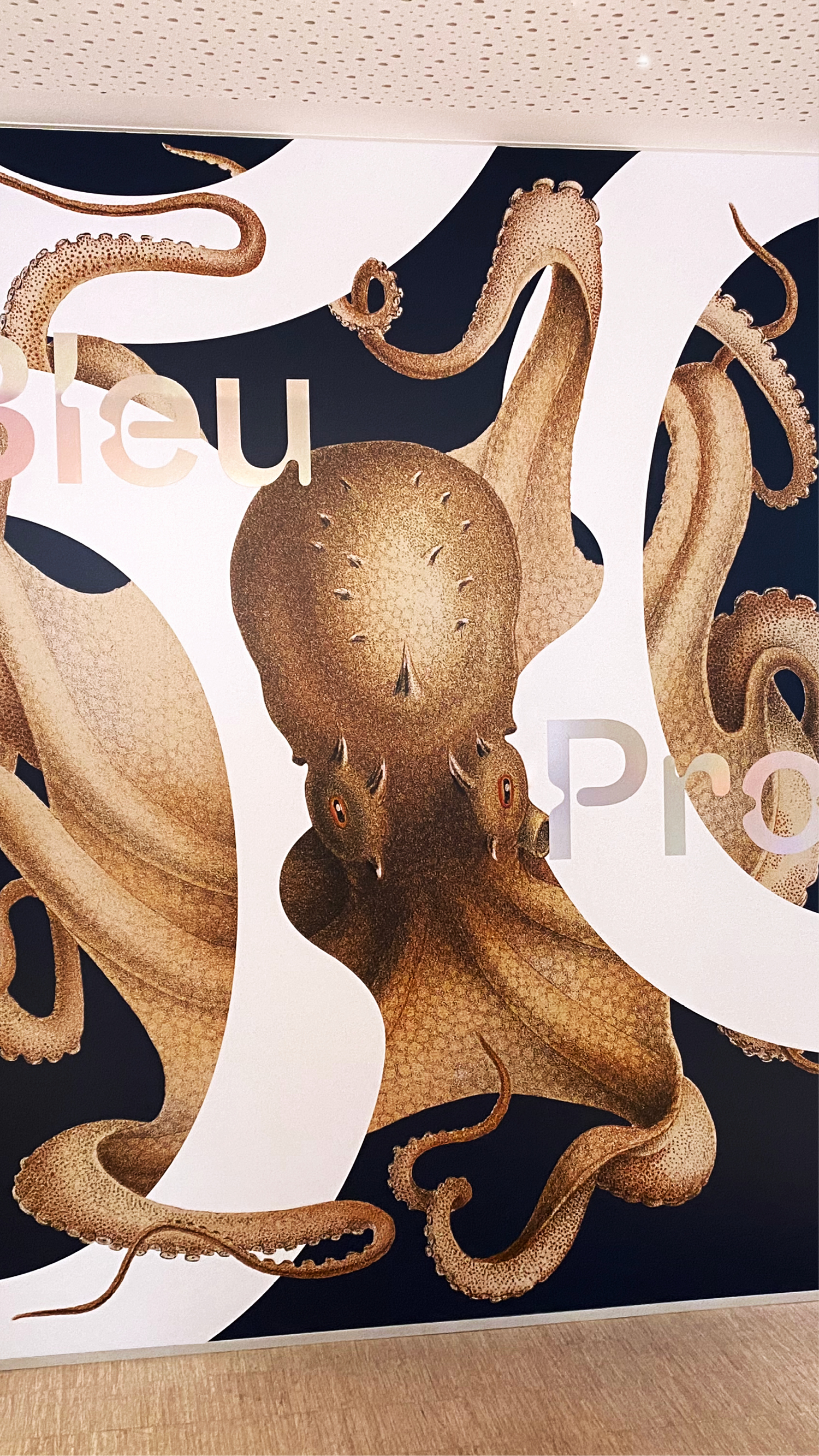 Les Franciscaines, Bleu profond GR20 design graphique signaletique paris branding graphic fashion food drinks culture luxury architecture